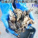 冷凍出荷の餌用牡蠣1kg〜14kg｜かぶせ釣りでコブダイを狙う釣り餌レビュー