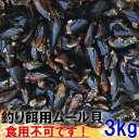 クロダイ・チヌに実績十分 ムラサキイガイ3kg小分け冷凍釣り餌の魅力