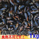 クロダイ・チヌ狙いに！冷凍ムール貝 ムラサキイガイの釣り餌おすすめタイトル